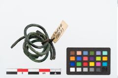 Foto von Bronzering (NHMW-PRAE-024696)